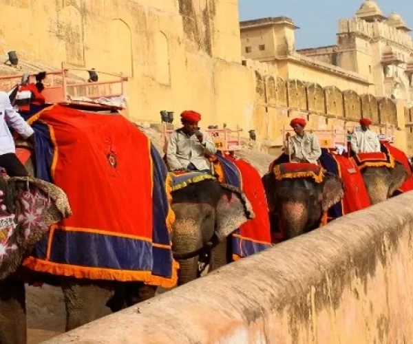 elephant-amber-fort